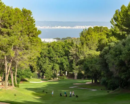 7 Nights at Protur Naisa Palma Hotel with breakfast and 3 green fees (GC Son Muntaner, Son Vida and Son Quint)