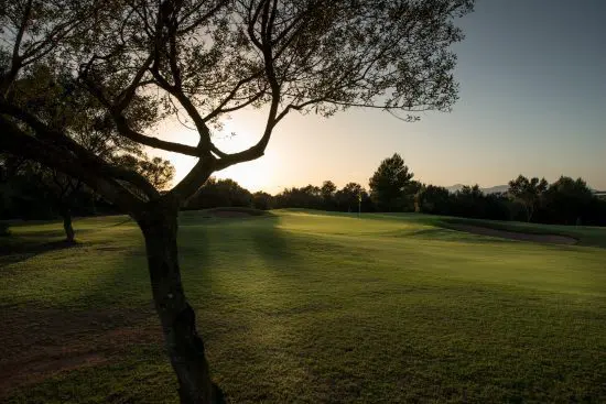 T-Golf Palma