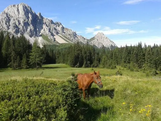 Friuli Venezia Giulia