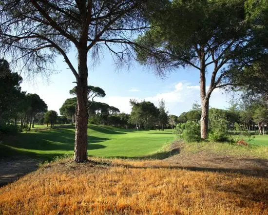 Montgomerie Golf Club
