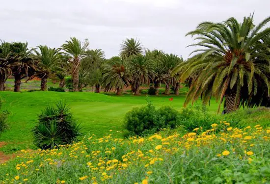 Costa Teguise Golf