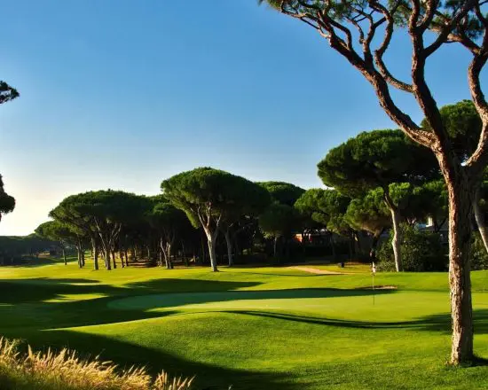 7 nuits au Victoria Golf Resort and Spa avec petit-déjeuner et 3 green fees