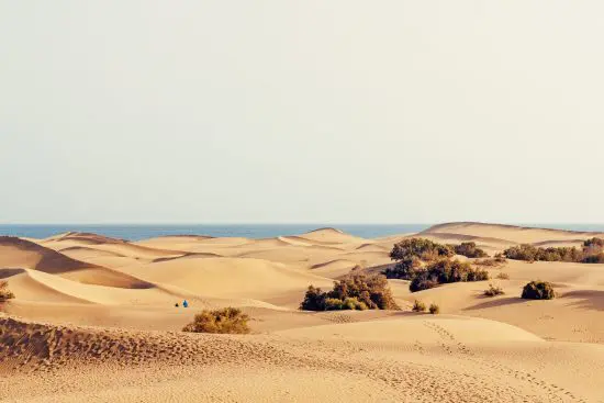 Gran Canaria (Isola)