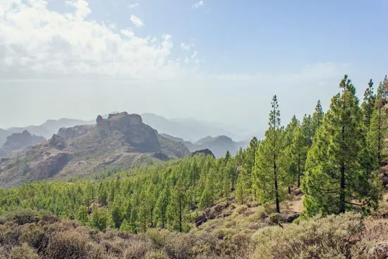 Gran Canaria