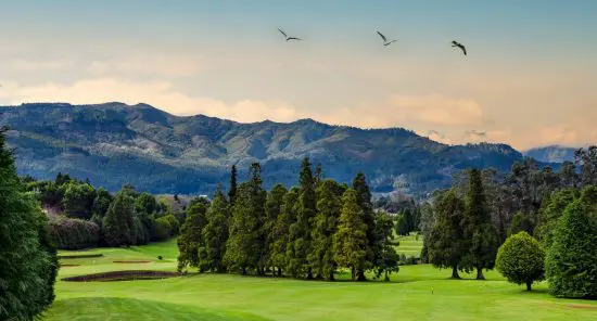 Clube de Golf Santo da Serra