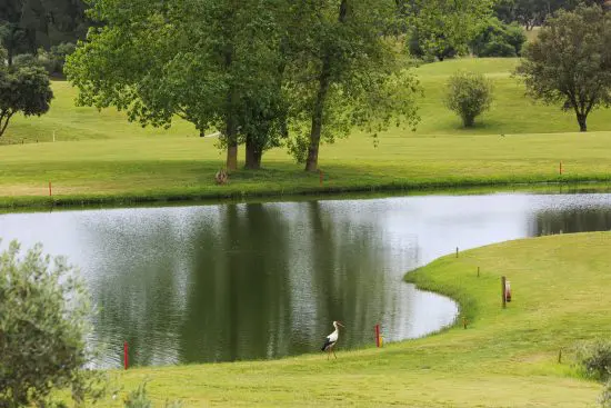 Montado Golf Club