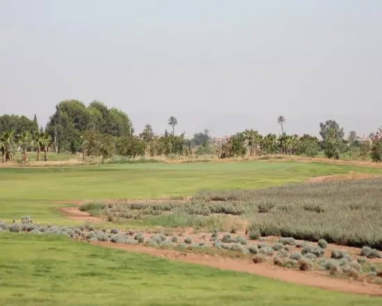 7 nights with breakfast at Kenzi Menara Palace & Resort, including 3 green fees per person