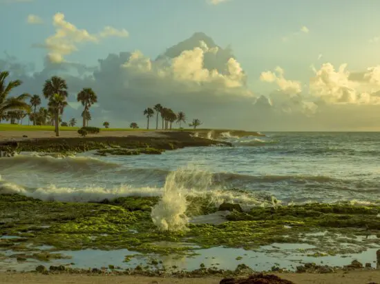 Punta Espada Golf Club