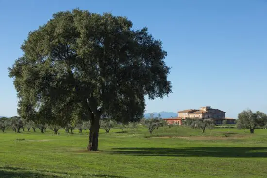 Riva Toscana Golf Club