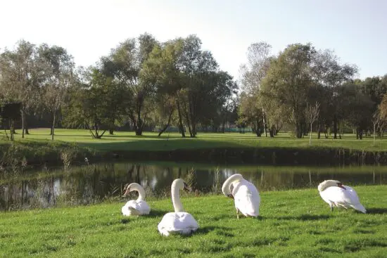 Forte dei Marmi Golf Club