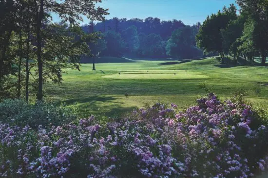 Golf Colline del Gavi