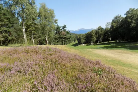 Golf Club Des Iles Borromées