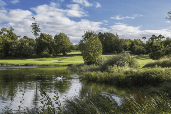 Fota Island Golf Club Cork