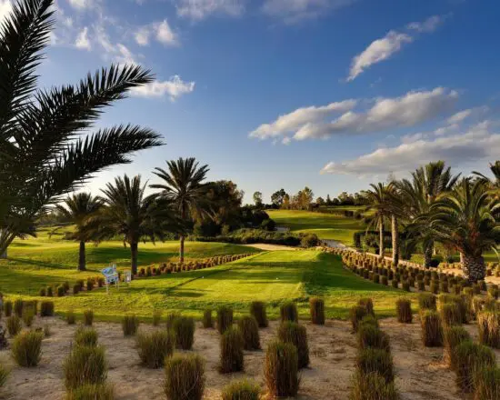 5 Nächte im SENTIDIO Phenicia mit all inclusive und 2 Greenfees (Citrus Golf Club)
