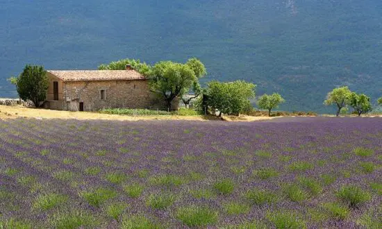 5 nights Lalpen Roc in a suite with breakfast and 3 green fees per person (2x Chateau de Taulande Golf Club and 1x Terre Blanche Golf Club)