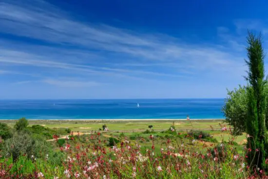 Palmares Golf