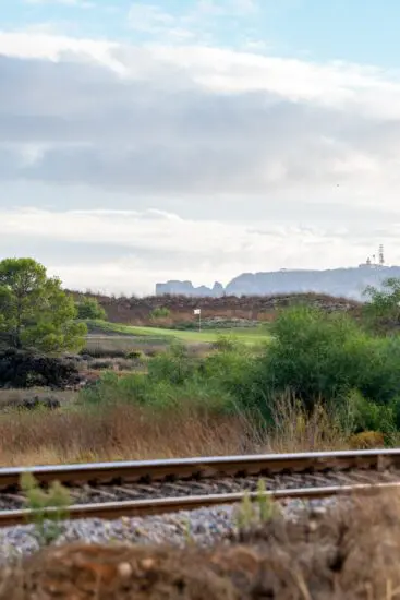 Palmares Golf
