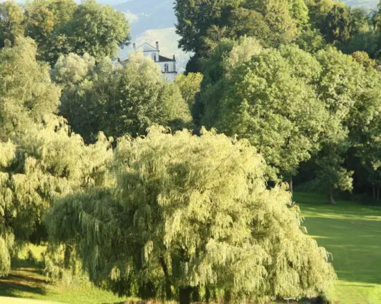 Golf Country Club de Bigorre