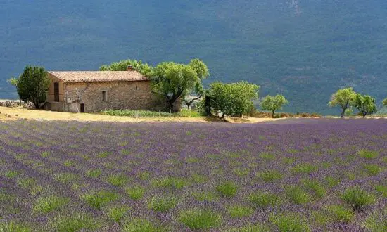 5 nights Lalpen Roc in a suite with breakfast and 3 green fees per person (2x Chateau de Taulande Golf Club and 1x Terre Blanche Golf Club)