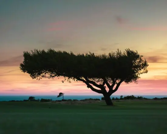 (6.) Foto von Oitavos Dunes Golfs Links