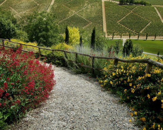 Relais di Tenuta Santa Caterina