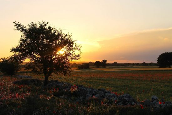 Apulia