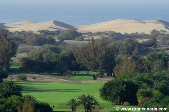 7 nights with breakfast at Hotel LIVVO Los Calderones and 3 green fees per person ( GC Maspalomas, Meloneras and Salobre) with Canarian Wine Experience