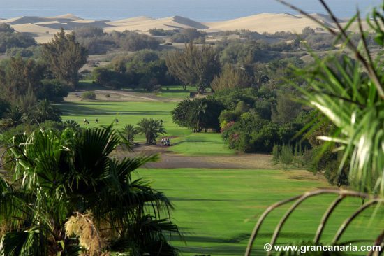 7 notti con prima colazione presso l'Hotel LIVVO Los Calderones e 3 green fee a persona (GC Maspalomas, Meloneras e Salobre) con Wine Experience Canaria