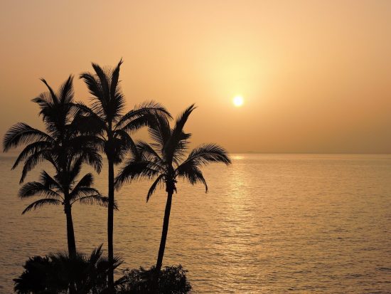 Tenerife (île), Espagne