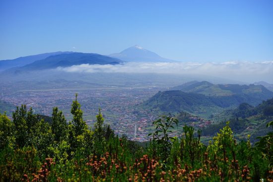 Tenerife (Isole Canarie)