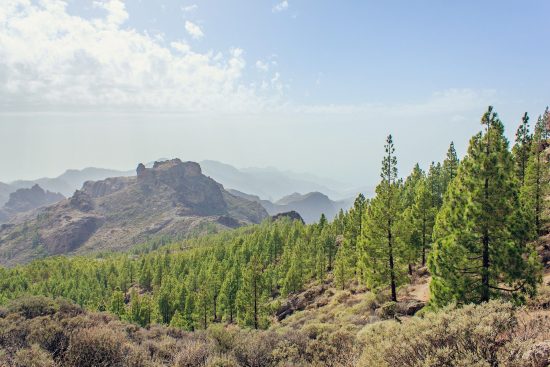 Gran Canaria (Isla)