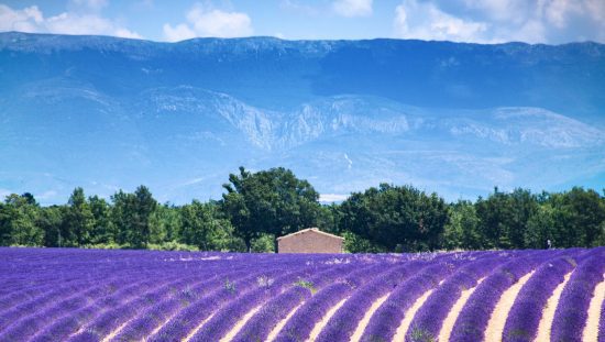 Provence