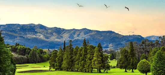 7 nuits avec petit-déjeuner à la Casa Velha Do Palheiro incluant 3 Green Fees par personne (Santo Serra Golf Club & Palheiro Golf)