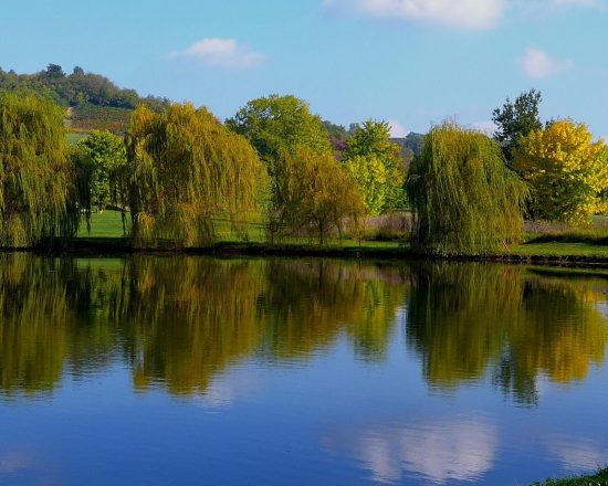 7 Übernachtungen mit Frühstück im Villa Carolina Resort inklusive 3 Green Fees pro Person (Golf Club Villa Carolina, Colline del Gavi und Valcurone) und einer Schokoladen- und Süßigkeiten-Tour durch Turin