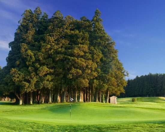 7 notti con prima colazione all'Octant Ponta Delgada, inclusi 3 green fee a persona (1 campo da golf Furnas e 2 campi da golf Batalha)
