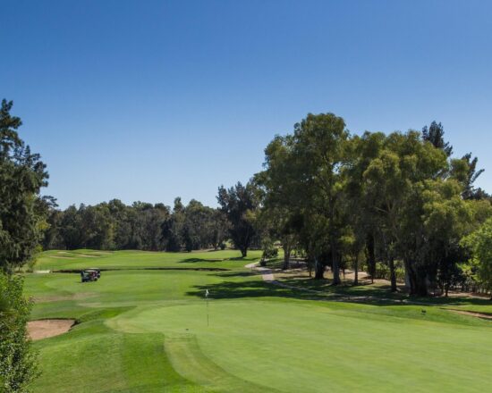 7 noches con desayuno en Penina Hotel & Golf Resort incluido 7 Green fees (4 en Sir Henry Cotton Championship Golf Course + 3 en Resort or Academy Golf Course)