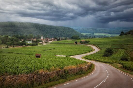 Burgundy (province)