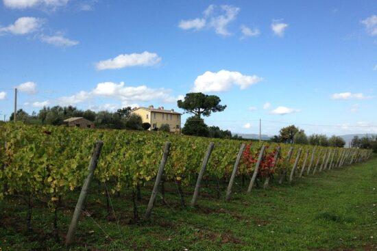 10 Übernachtungen mit Frühstück in Sina Brufani, 4 Greenfees pro Person (2x Perugia und 2x Antognolla) und eine Weinkellertour mit Wein- und Käseverkostung.