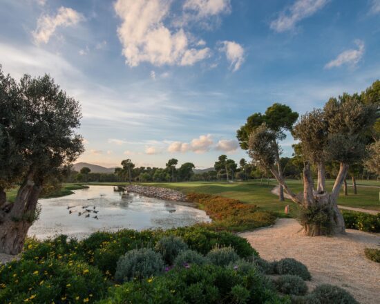 5 nights in The Sky Hotel with breakfast and 2 green fees per person (GC Capdepera and Son Servera)