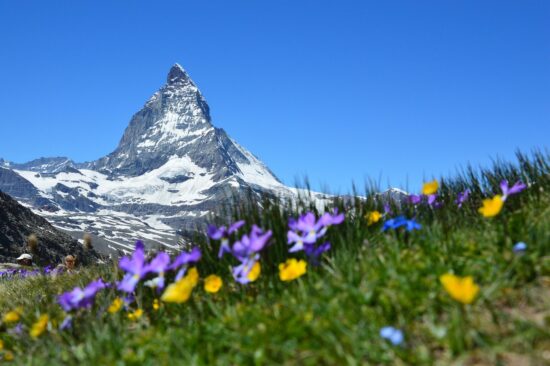 Alpes suizos